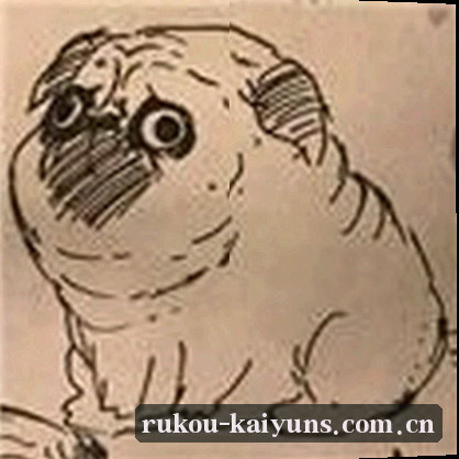 赵伟